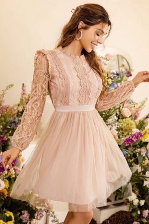 Elegant Tulle Lace Even Party Dress Women Pink Lon