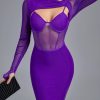 Mesh Women Long Sleeve Bodycon Elegant Purple Even